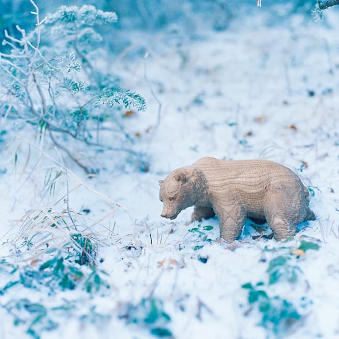 熊彫りとして生きた、アイヌの翁の作品群。