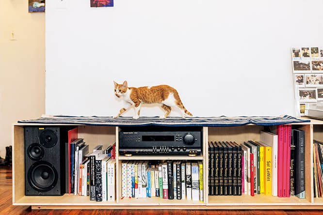 スリムなモデル体形がご自慢、隈さん作キャビネットの上で"キャットウォーク"を披露。