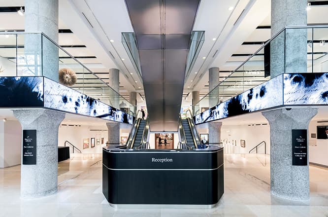 入口に入ると、奥の展示室に飾られた名画がパッと目に飛び込む。