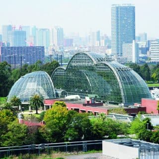 東京都夢の島熱帯植物館