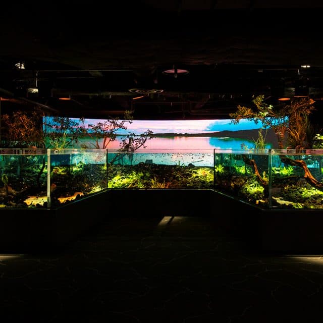 BEST Zoo &amp; Aquarium