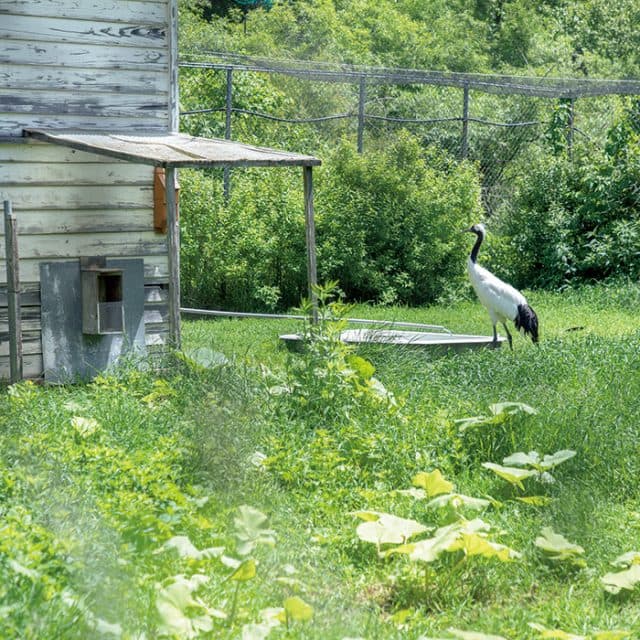 BEST Zoo &amp; Aquarium