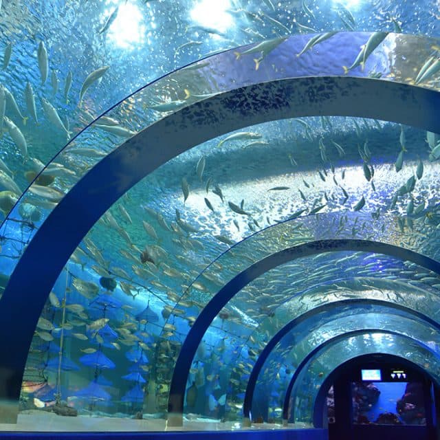 BEST Zoo &amp; Aquarium