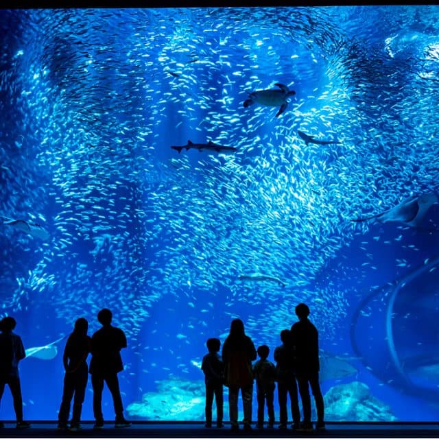 BEST Zoo &amp; Aquarium