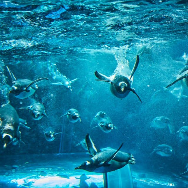 BEST Zoo &amp; Aquarium