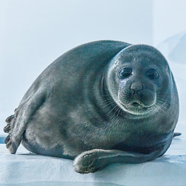 BEST Zoo &amp; Aquarium