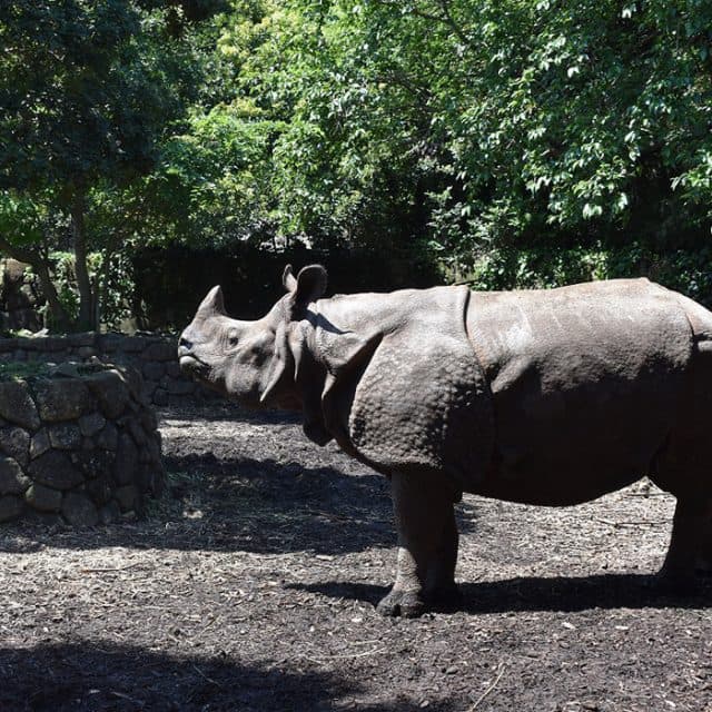 BEST Zoo &amp; Aquarium