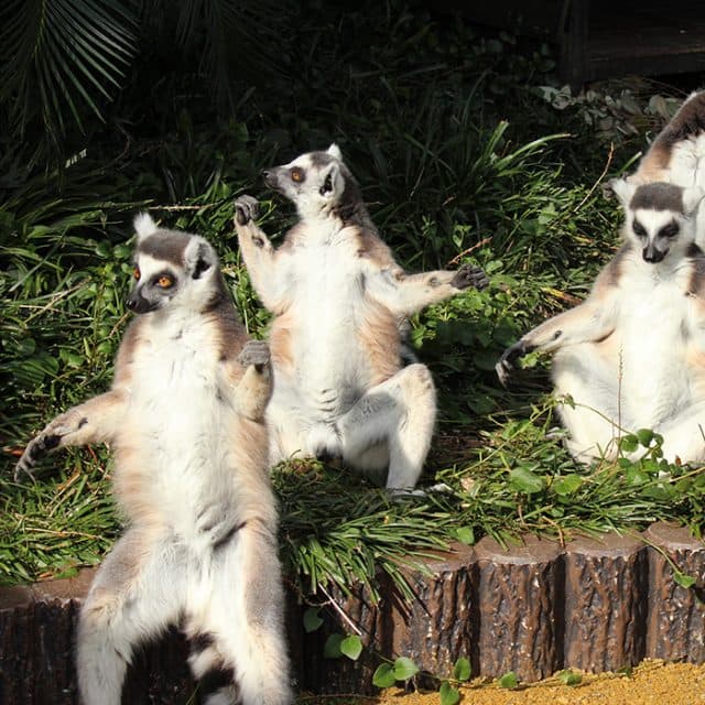 BEST Zoo &amp; Aquarium