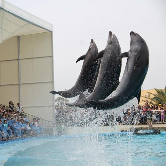 BEST Zoo &amp; Aquarium