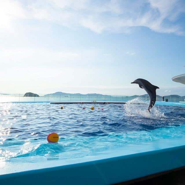 BEST Zoo &amp; Aquarium