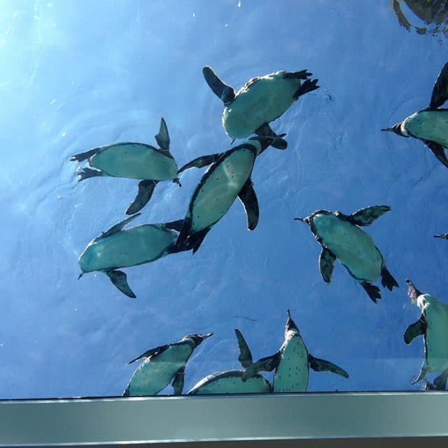 BEST Zoo &amp; Aquarium
