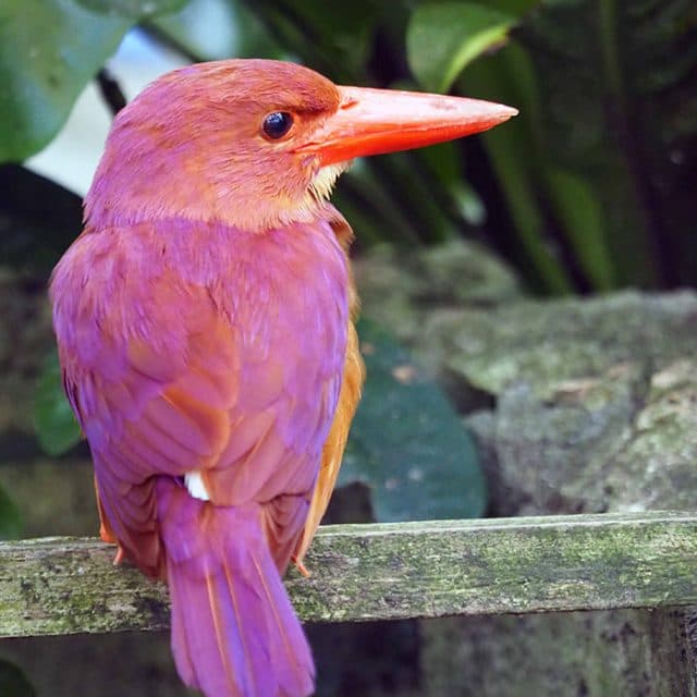 BEST Zoo &amp; Aquarium