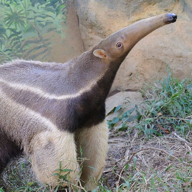 BEST Zoo &amp; Aquarium