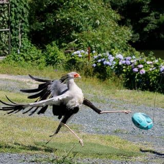 掛川花鳥園