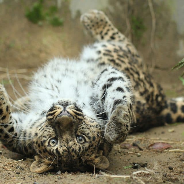 BEST Zoo &amp; Aquarium