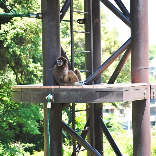 BEST Zoo &amp; Aquarium