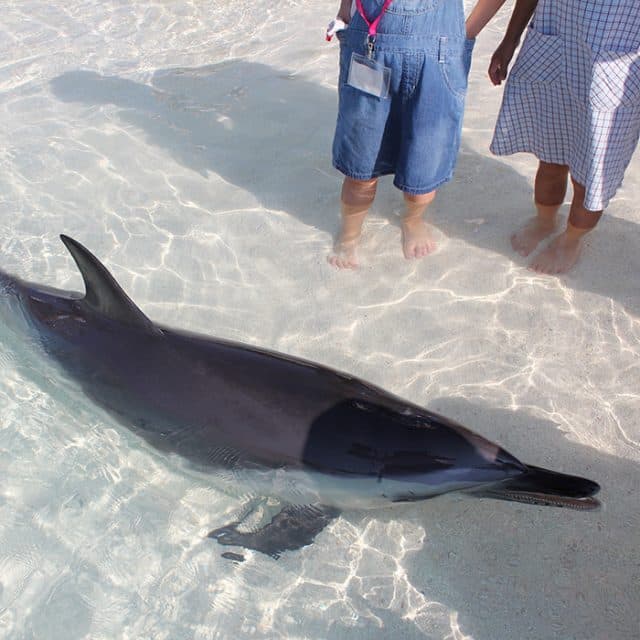 BEST Zoo &amp; Aquarium