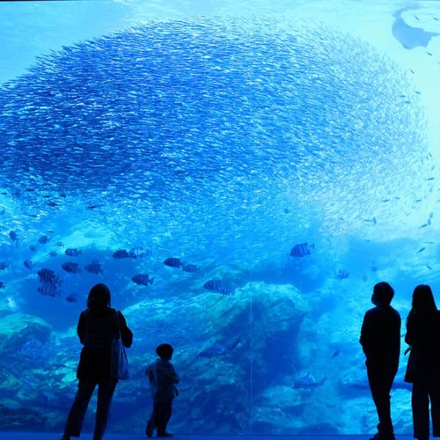 BEST Zoo &amp; Aquarium