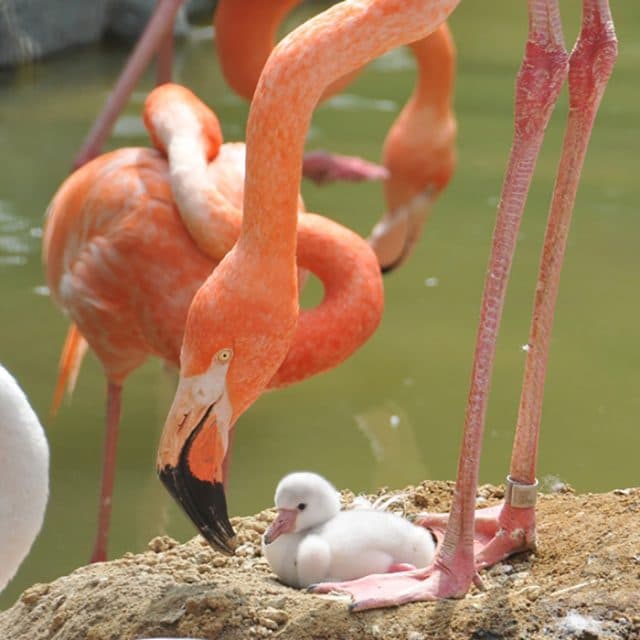 BEST Zoo &amp; Aquarium