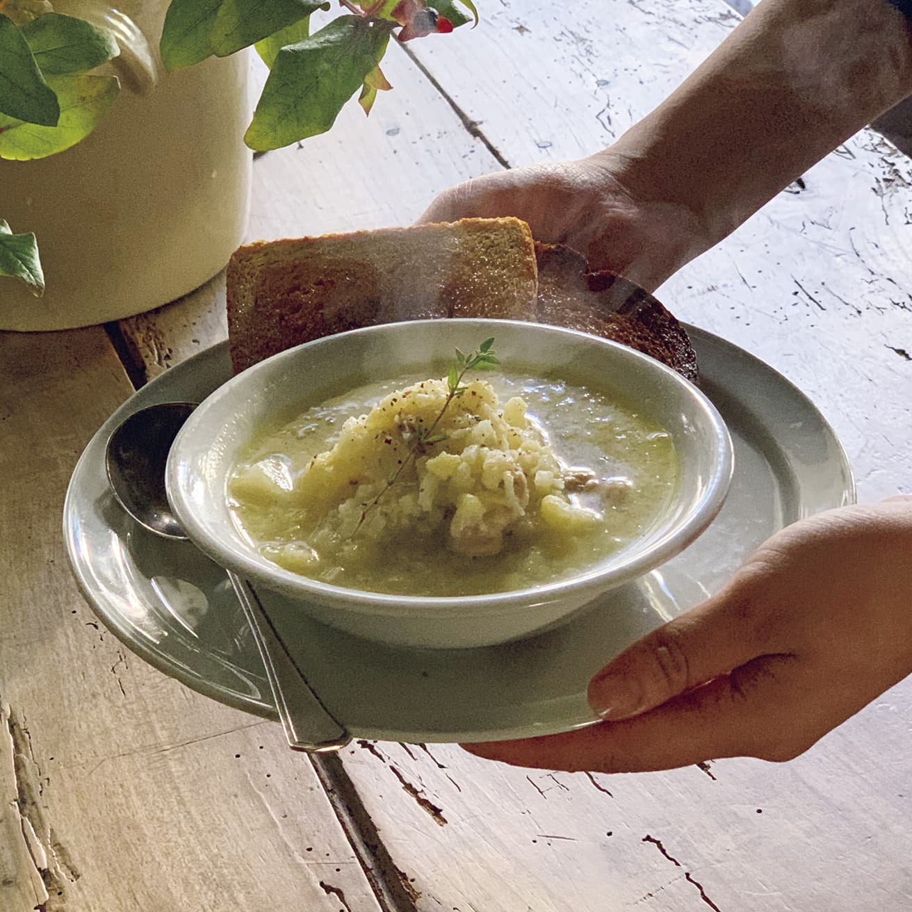 〈ha ra〉2020年8月のオープンで、もはやお腹と心を満たす定番店に。「本日のスープのほかパンとベーコンを鉄板で焼くBLTサンドも必食」（大和まこさん）。京都府京都市上京区梶井町448-62 TEL 075 285 4821。10時〜19時。火曜休、ほか不定休。