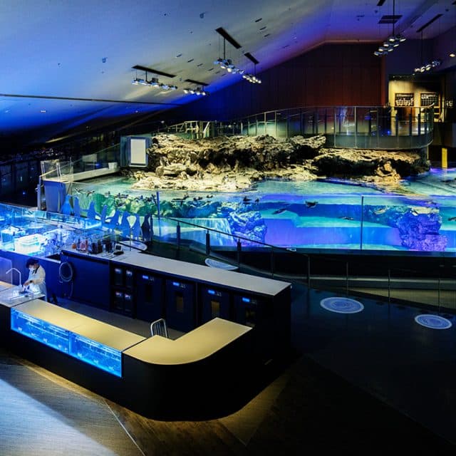 BEST Zoo &amp; Aquarium