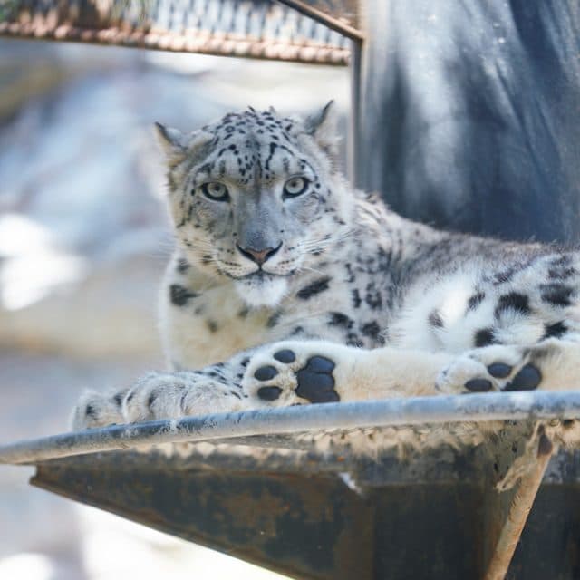 BEST Zoo &amp; Aquarium