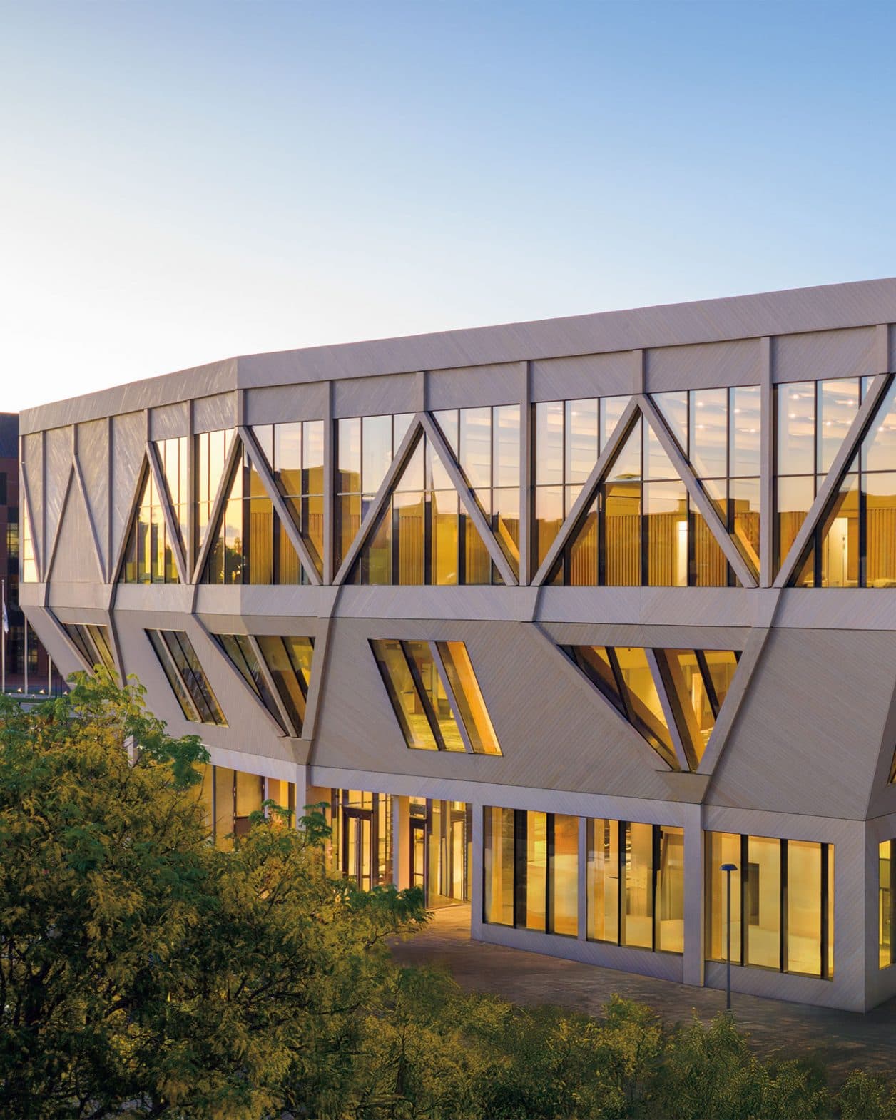 ハーバード大学に誕生。鉄骨不使用、スタジオ・ギャングによる「ツリーハウス」！