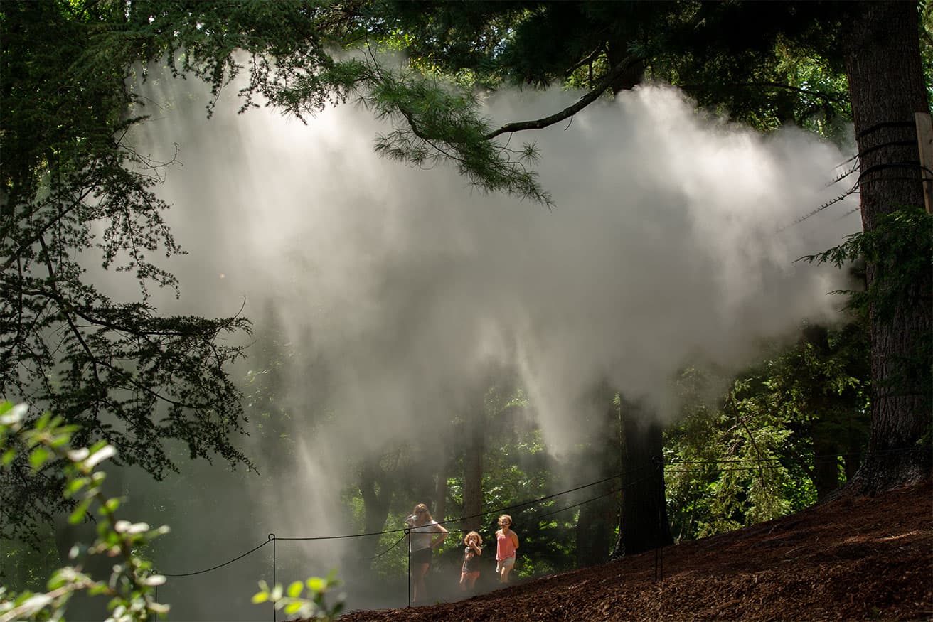 中谷芙二子作品（2018年、アメリカ）。Fog × FLO - Fog × Hill, Fog Landscape #72509 Arnold Arboretum, 2018, Emerald Necklace Parks, Boston, USA　Photo: Noriko Koshida
