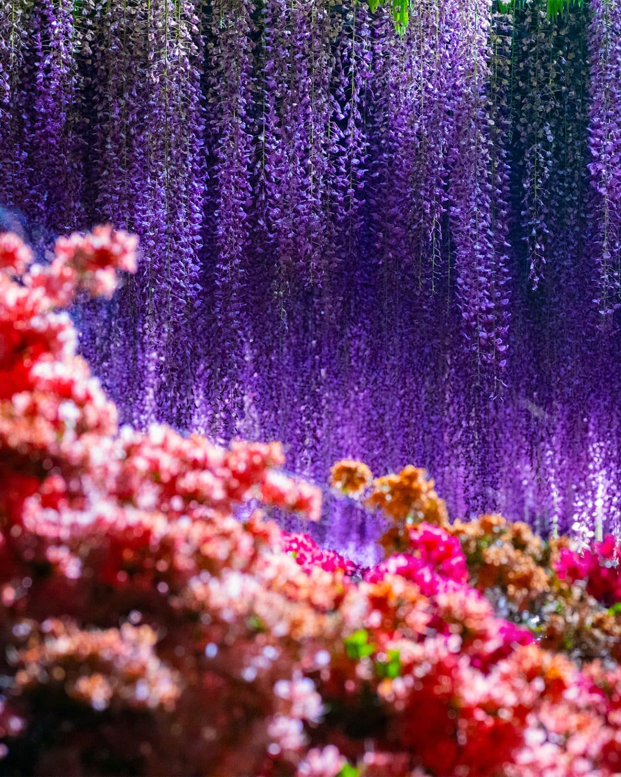 モネと響き合う現代美術を見に、フランス・ノルマンディーへ。