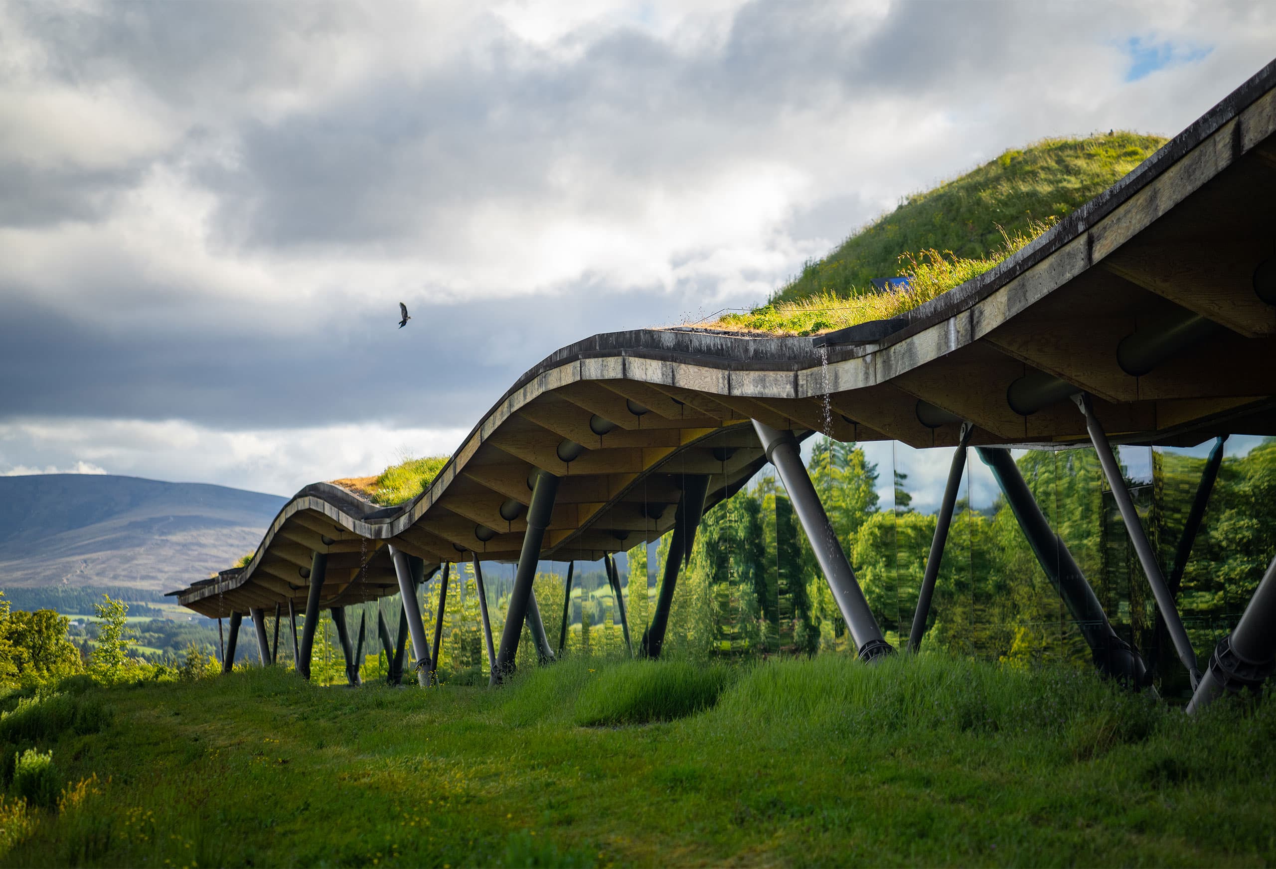 世界的建築家が作ったザ・マッカランの新しい蒸留所は、自然豊かな丘に潜んでいました。