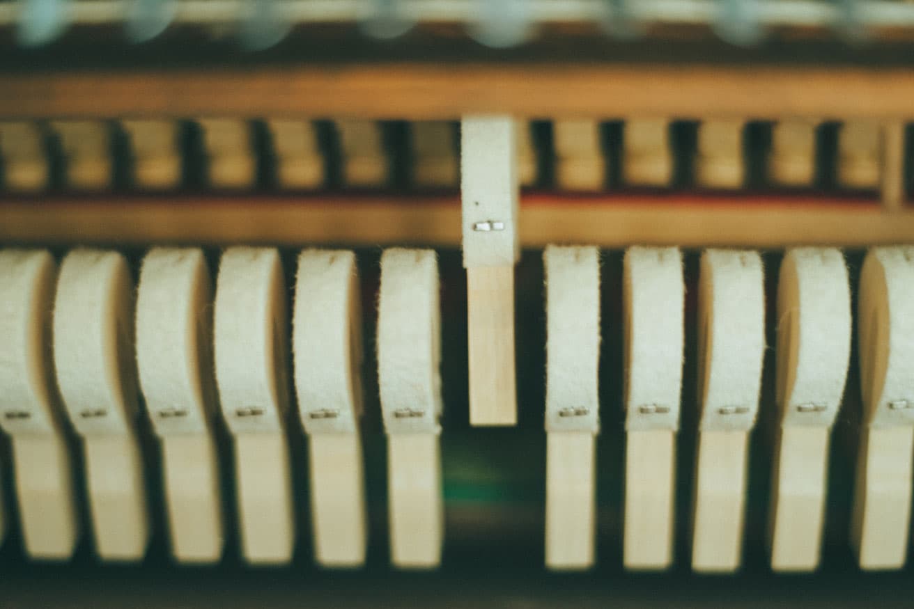 【11月1日〜11月3日】アートの秋、充実！　 三連休必見の“アート＆デザイン”まとめ！