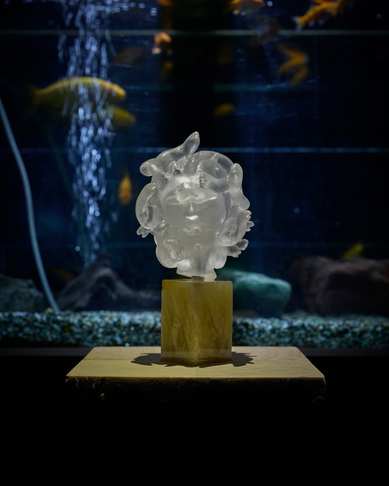 ガラスなどによる保良雄作品。ガラスは固体のようだが実は液体だ。〈横浜市港北水再生センター〉内の、鶴見川に生息する生き物たちが飼われている「ミニ水族館」で展示されている。 photo_Akihiro Itagaki (Nacasa &amp; Partners)