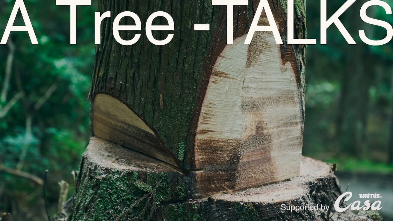 【会員限定】〈GINZA SIX〉が〈DAIKEI MILLS〉と取り組むアートプロジェクト《A Tree》のトークセッションを開催。