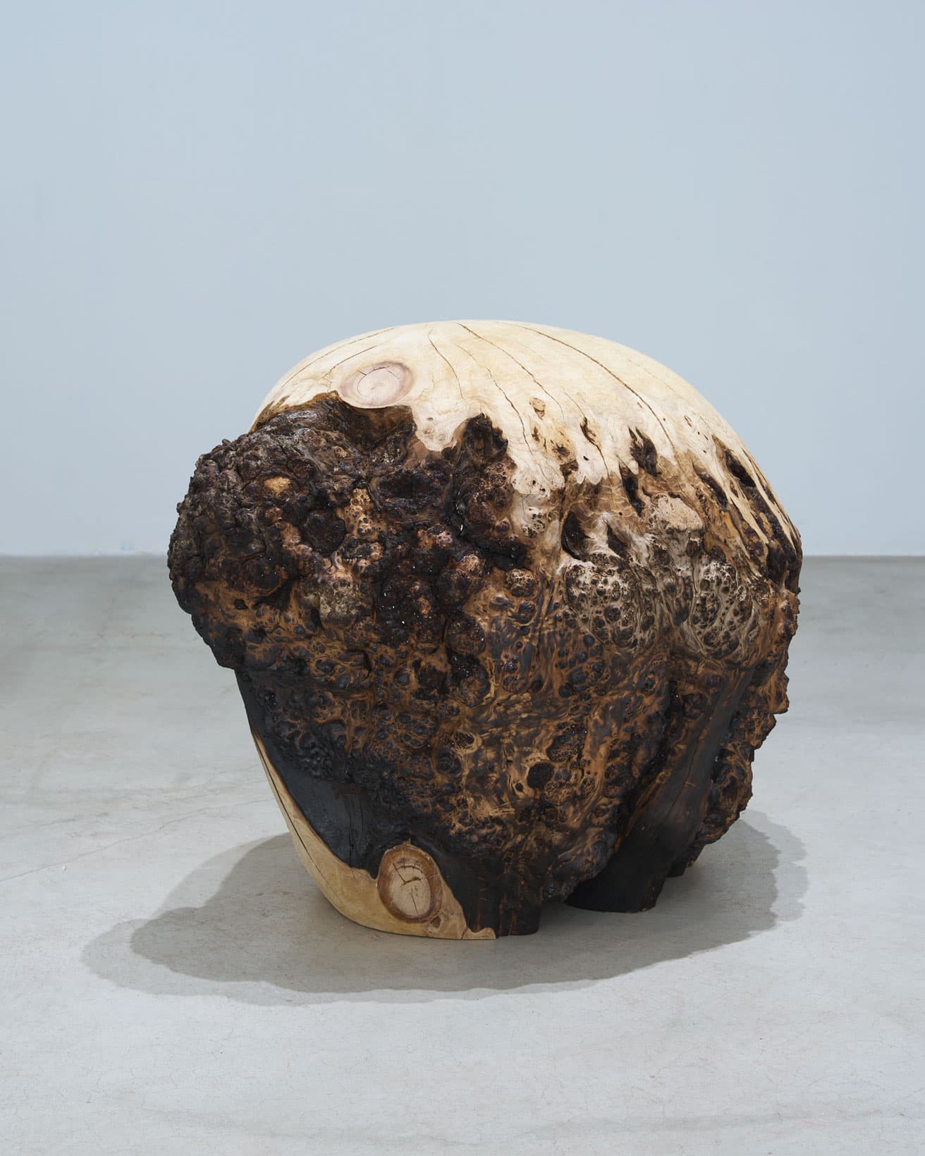 木塊にチェンソーやヤスリ、焼き加工などを順不同に施して作り上げる作品群。