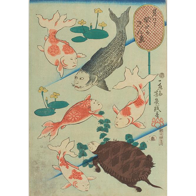 《見たて似たかきん魚》右下で亀がにらみをきかせている。太田記念美術館蔵。