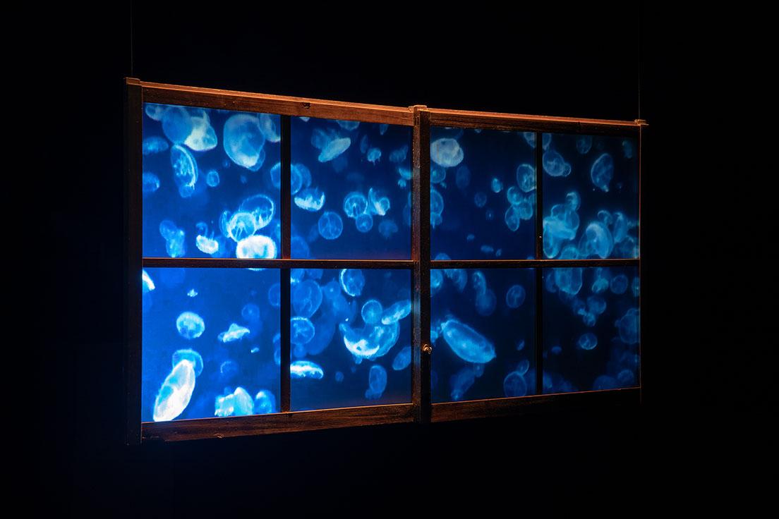 《玻璃の夢》（2021年）。木の窓枠の外にクラゲの群れが泳ぐ。映像はクラゲで有名な〈鶴岡市立加茂水族館〉で撮影したもの。