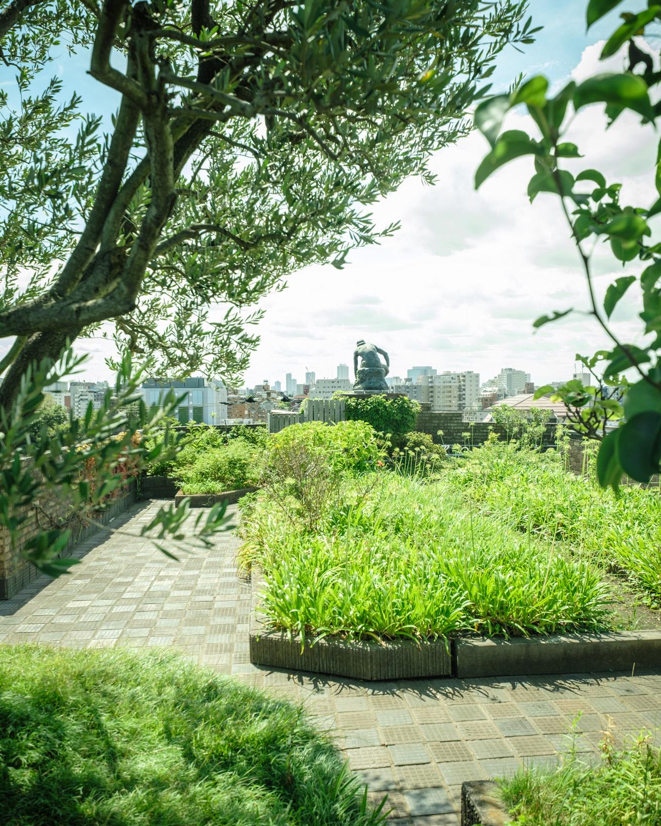 オリーブの大木が茂る屋上庭園は、コンクリート建築の屋上緑化の貴重な事例として評価されている。朝倉が主宰した朝倉彫塑塾では園芸が必須科目で、塾生の園芸実習の場として活用されていた。