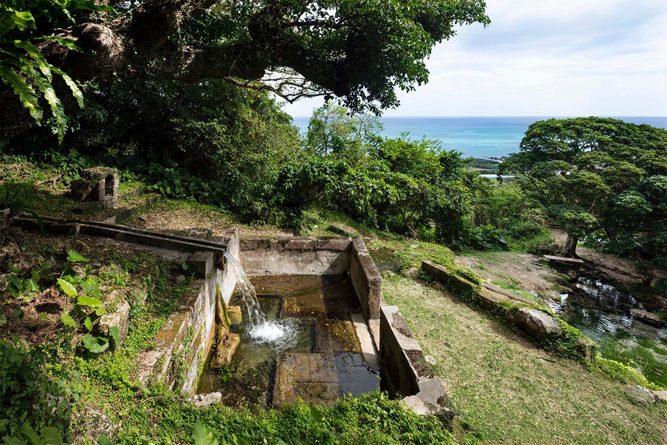 〈垣花樋川〉。水の道と水場が琉球石灰岩でつくられている。写真右側には水の溜まりと木かげの小さなベンチが見える。