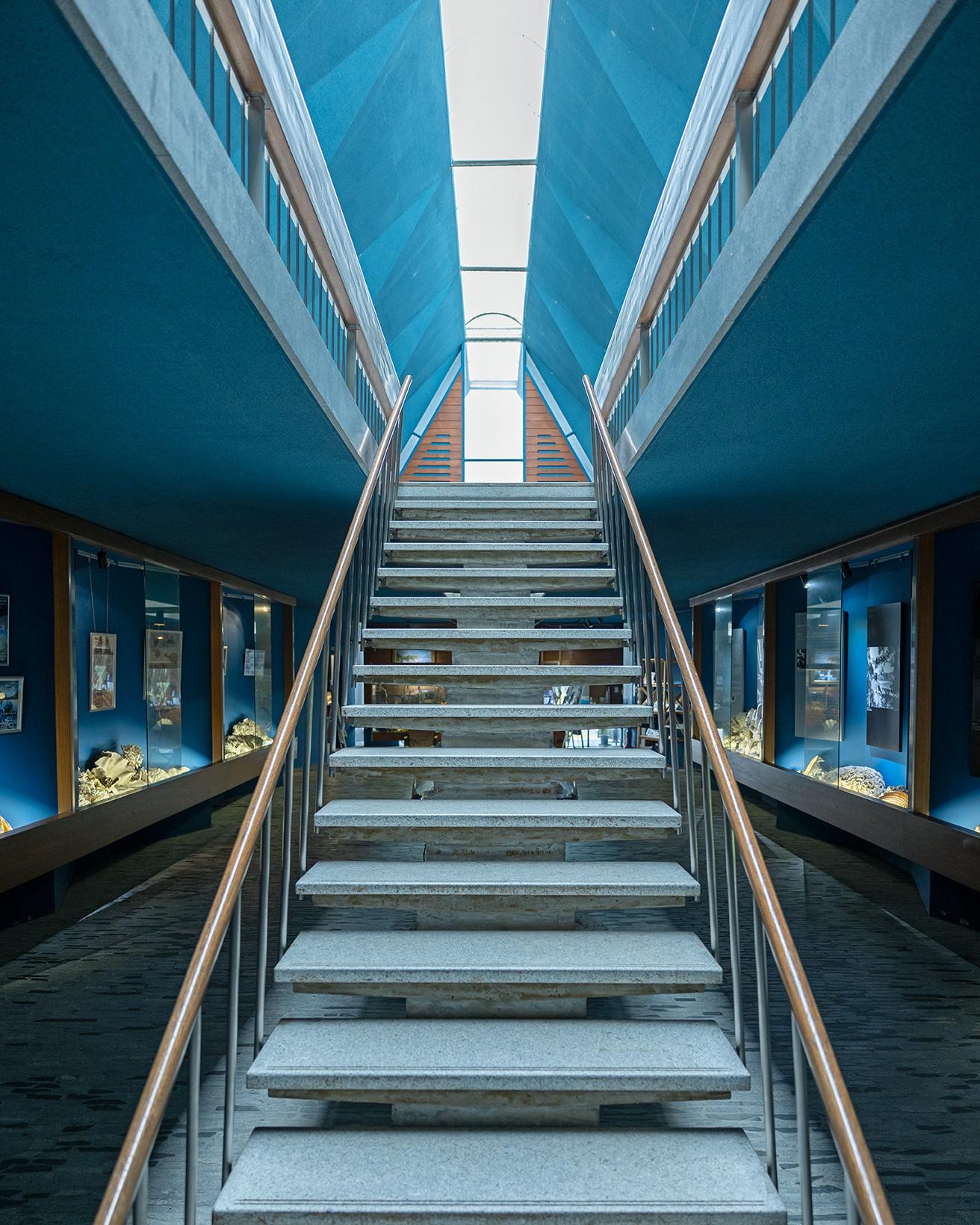 2階展示室へと続く階段。photo_Norio Kidera