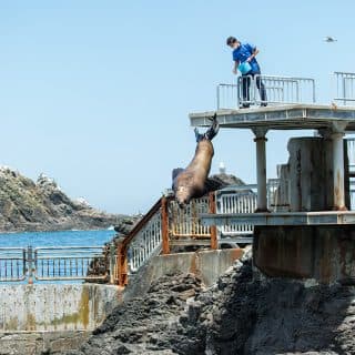 おたる水族館