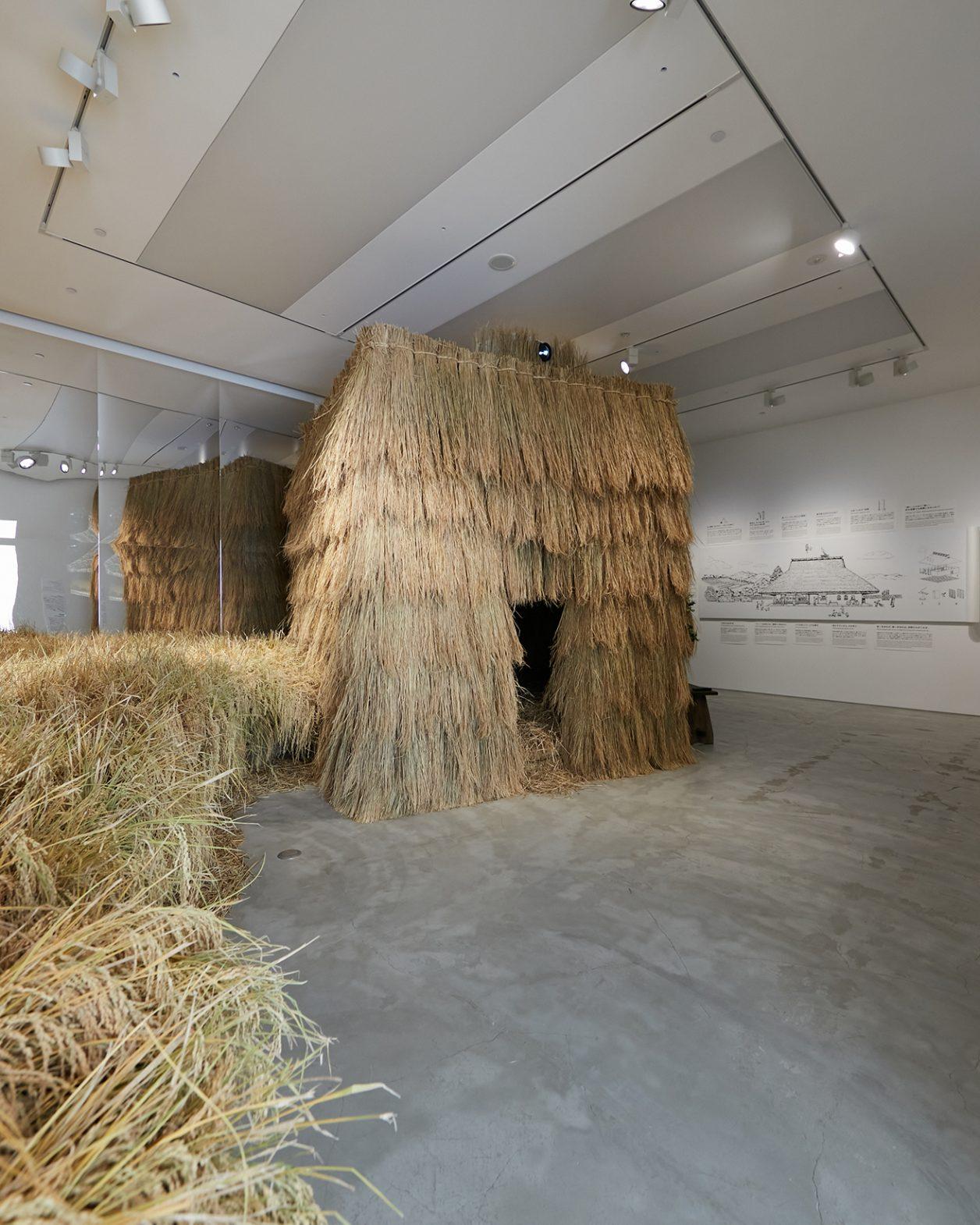 稲作の過去と未来を探究する。野村友里と壱岐ゆかりの『食植・住』展が開催中。