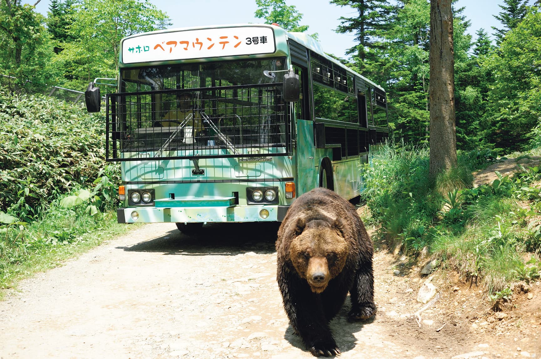 サホロリゾート ベア・マウンテン