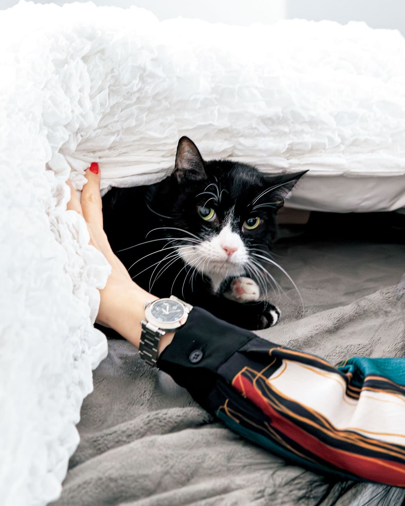 作家に猫を描かせ、新しい物語と “猫的造本” を生み出した立役者。キリグという名前は「心に蝶が舞っているような状態」を表すタガログ語から。野良出身でお客さん嫌い。