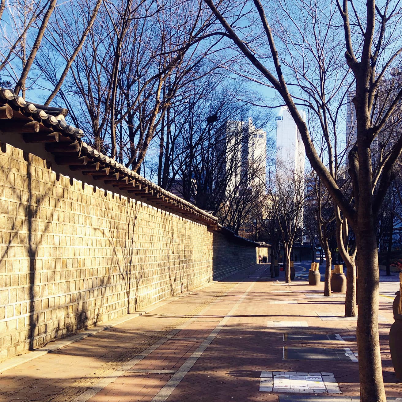〈徳寿宮〉。宮内にカフェがあったり美術館があったりと魅力的だが、数々の韓国ドラマ(たとえば『トッケビ』)でもロケ地として使われている塀に沿って、石畳の道を歩くのが好きだ。四季それぞれの美しさの中でどの季節が好きかは人によるだろうけれど、ぼくは街路樹の葉が落ちて幹と枝になっている冬が好きだ。